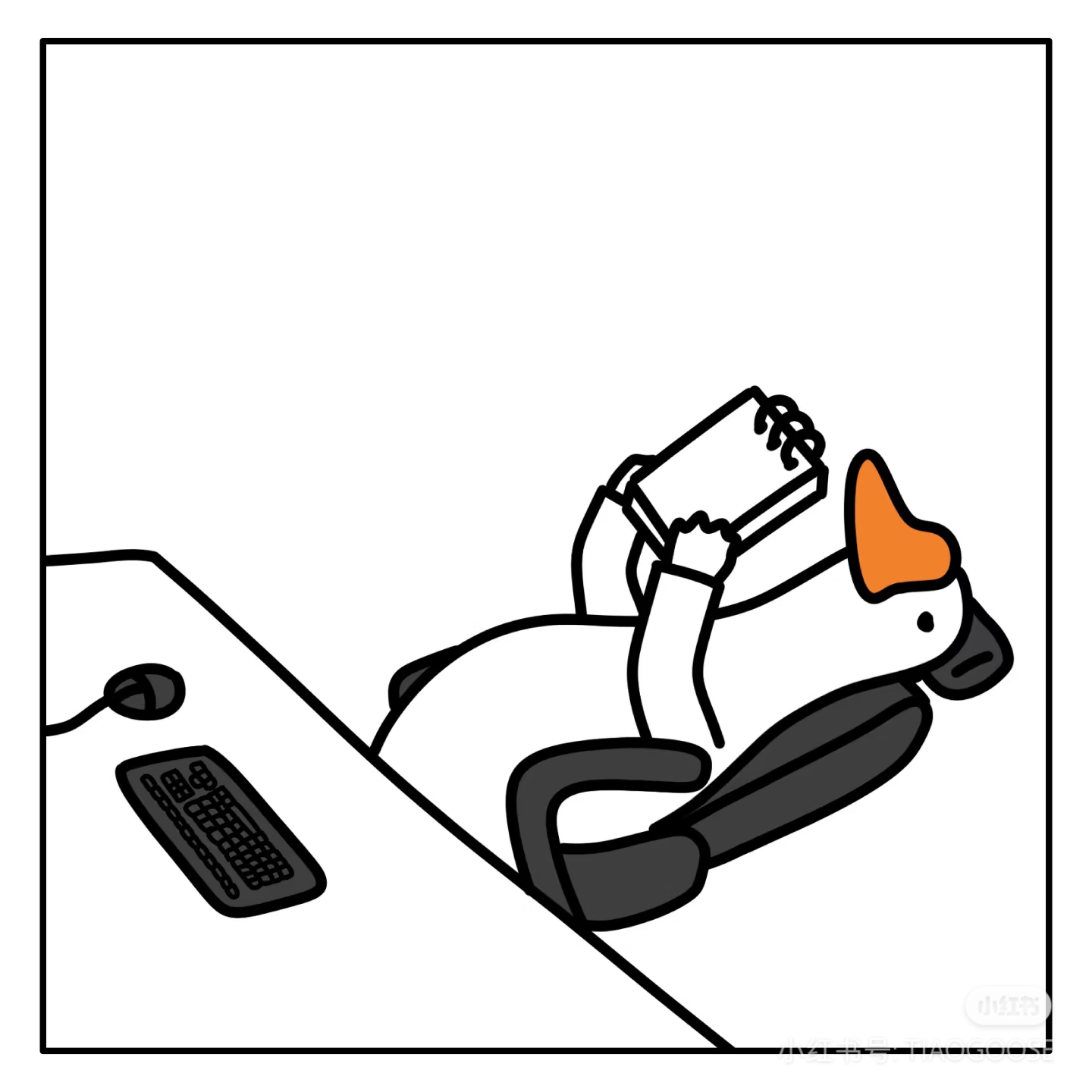 时间过半的大二上——一些感慨